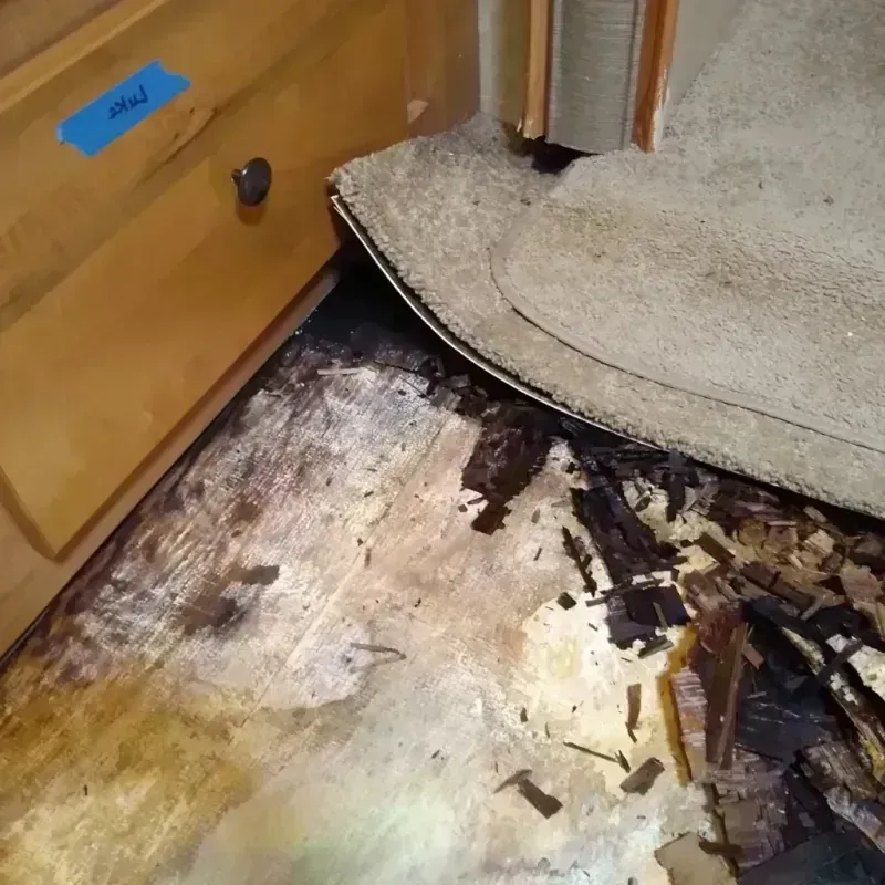 Best Wood Floor Water Damage Service in Alto, GA